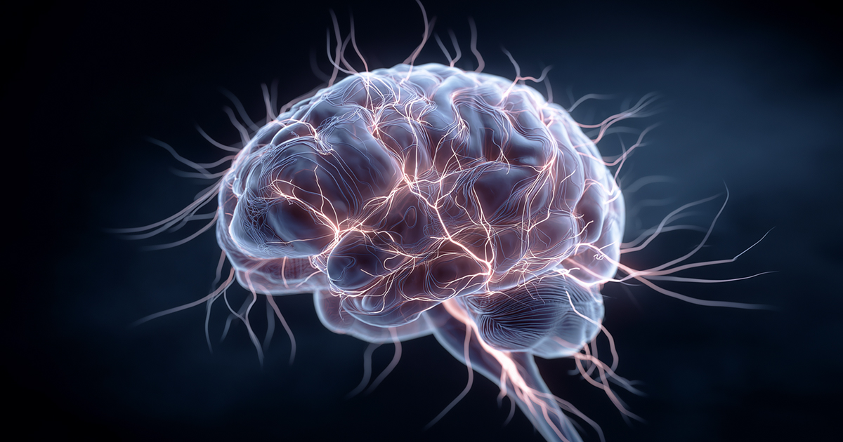 How to Further Develop Your Intelligence