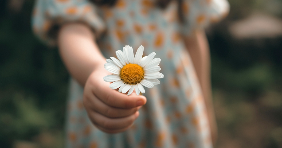 Child holding a single daisy